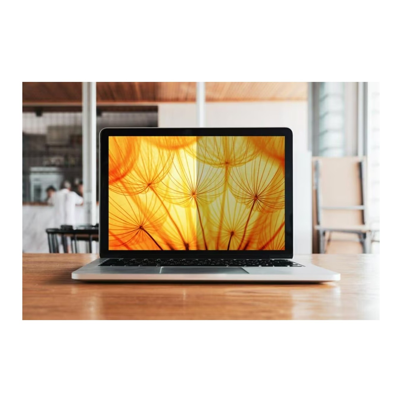 3M Bright Screen Privacy Filter for HP - BPNHP002 - 16:9 — Buy in Cyprus with Fast Delivery