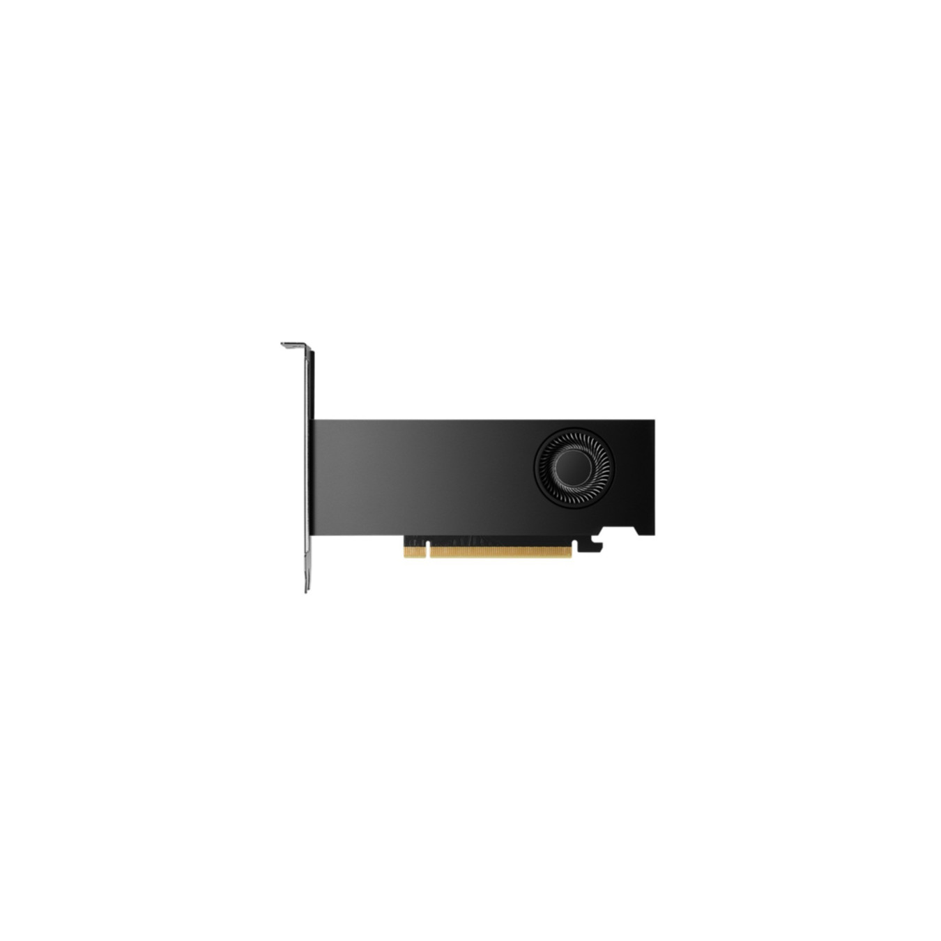 PNY Quadro RTX 2000 Ada - VCNRTX2000ADA-PB - 16GB GDDR6, 4x DisplayPort, Black, 2-slot — Buy in Cyprus with Fast Delivery