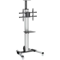 StarTech TV Cart - for 32-70in displays — Buy in Cyprus with Fast Delivery