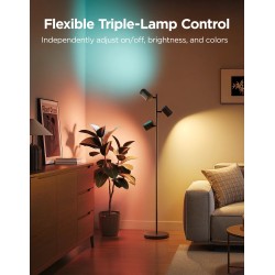 Govee Lamp Floor Smart RGBICWW (Tree Floor Lamp) - RGBICWW Tree Floor Lamp — Buy in Cyprus with Fast Delivery