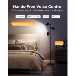 Govee Lamp Floor Smart RGBICWW (Tree Floor Lamp) - RGBICWW Tree Floor Lamp — Buy in Cyprus with Fast Delivery