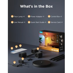 Govee Lamp Floor Smart RGBICWW (Tree Floor Lamp) - RGBICWW Tree Floor Lamp — Buy in Cyprus with Fast Delivery