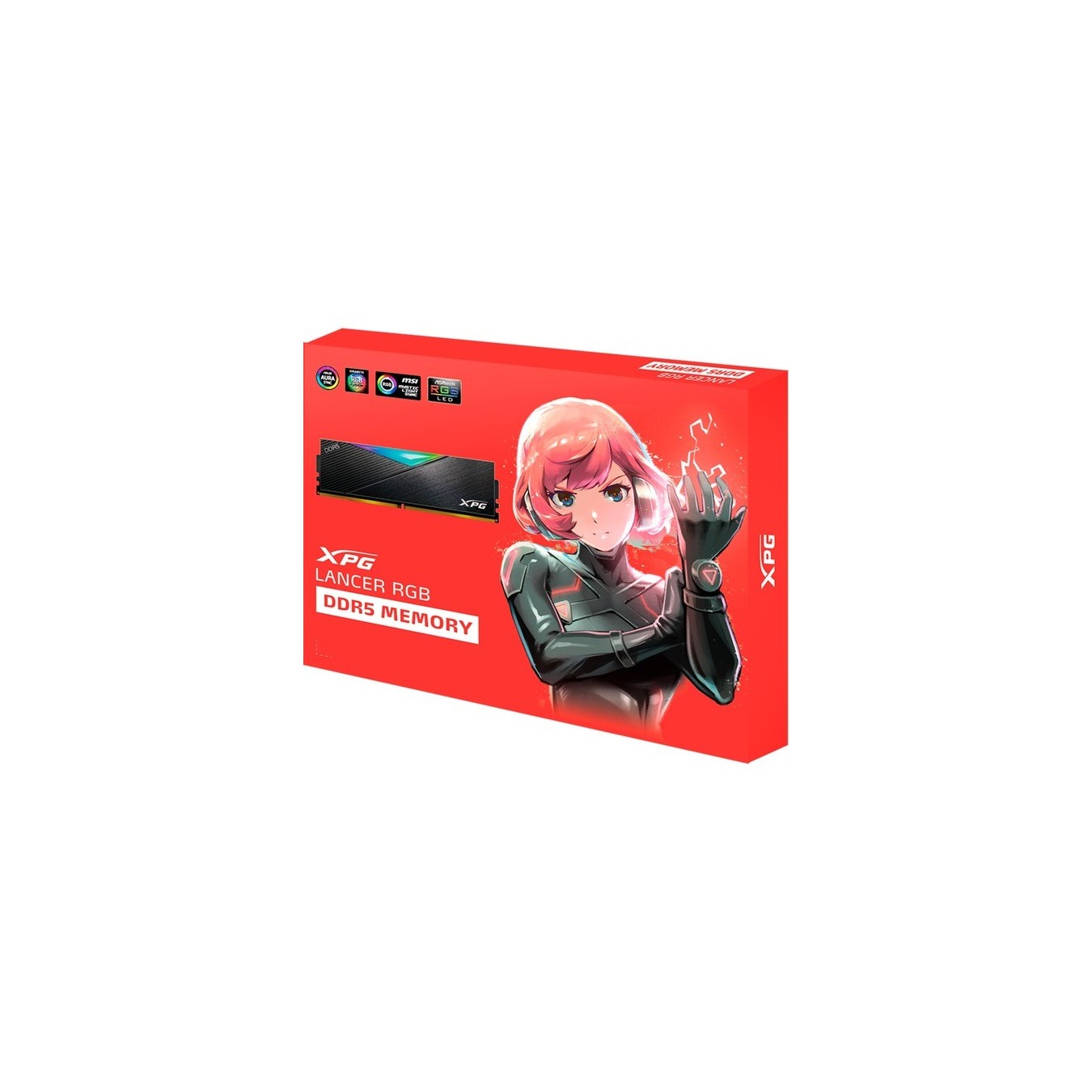 DIMM - 64 GB DDR5-6400 (2x 32 GB) dual kit, RAM — Buy in Cyprus with Fast Delivery