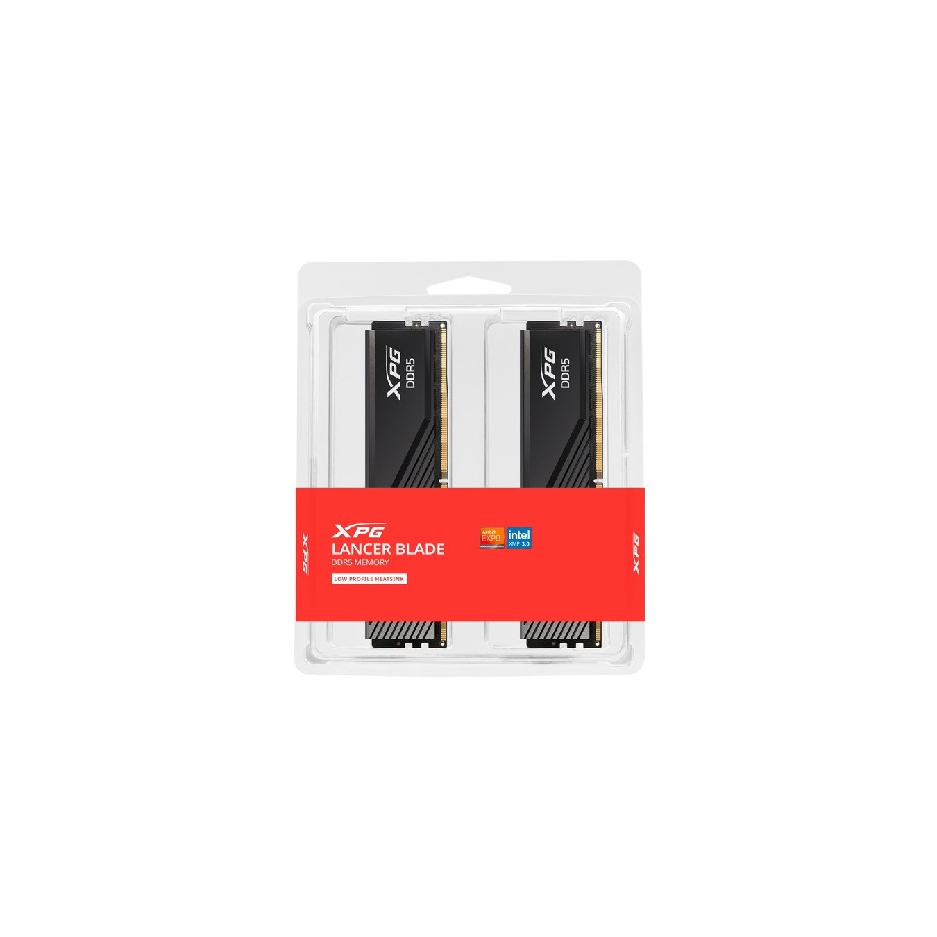 DIMM Memory - 32 GB DDR5-6000 (2x 16 GB) dual kit — Buy in Cyprus with Fast Delivery