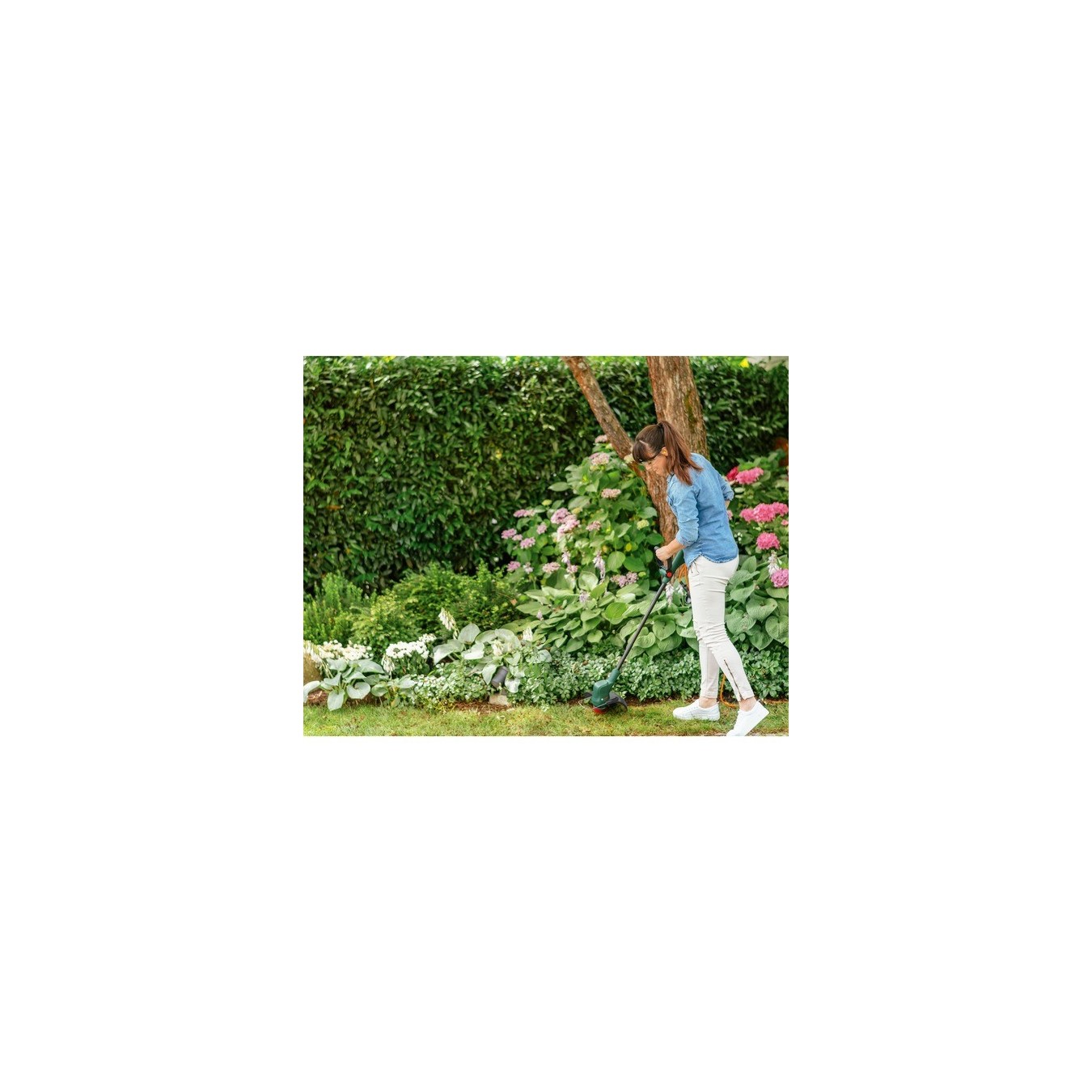 Akku-Rasentrimmer EasyGrassCut 18-260, 18Volt — Buy in Cyprus with Fast Delivery