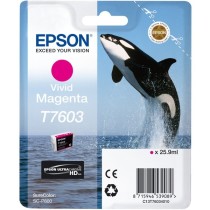 Magenta tints T7603 - C13T76034N10 -  — Buy in Cyprus with Fast Delivery