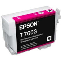 Magenta tints T7603 - C13T76034N10 -  — Buy in Cyprus with Fast Delivery