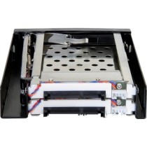 Delock 47189 - 3.5-inch Removable Frame for 2x 2.5-inch SATA HDD | Armenius Store