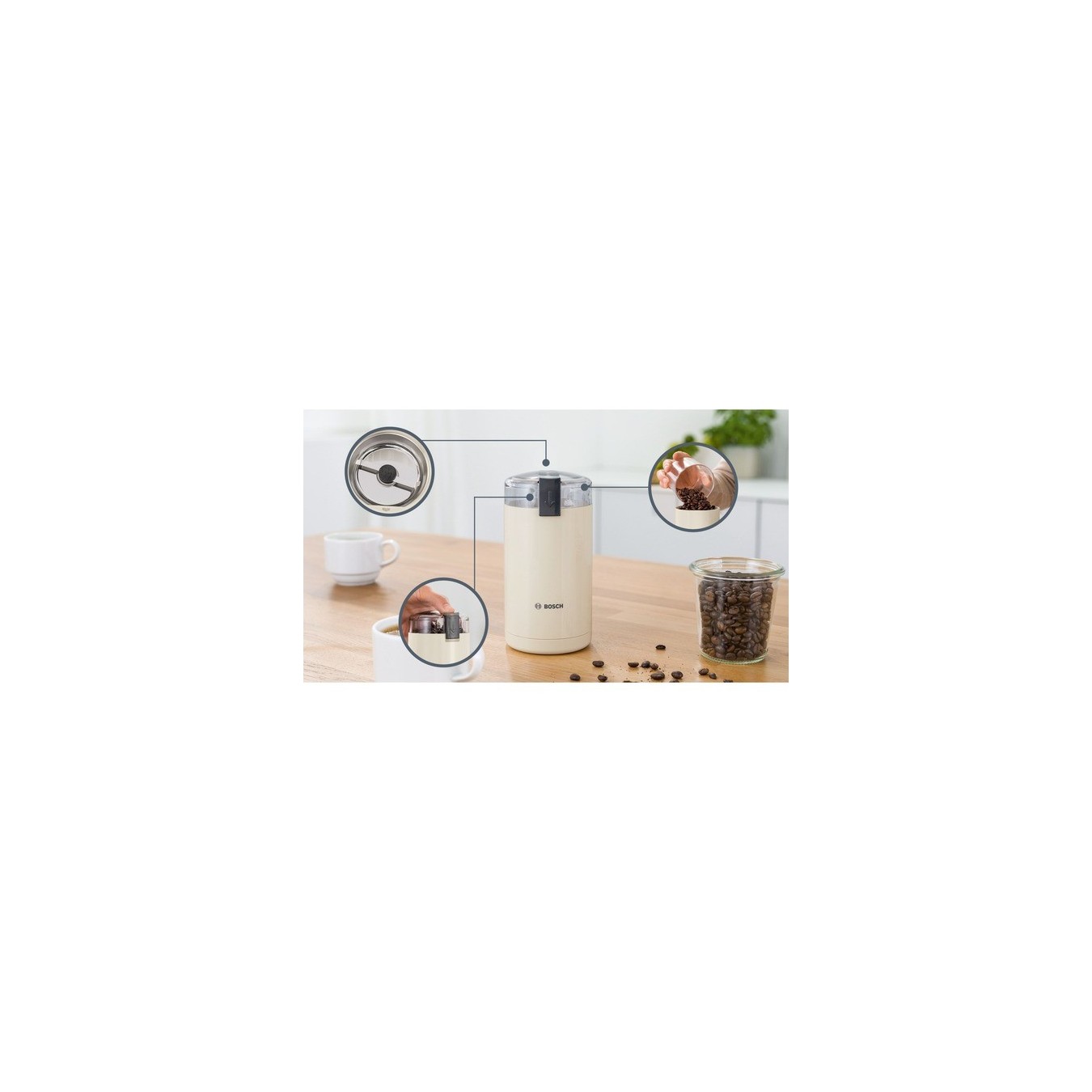 Coffee grinder - TSM6A017C — Buy in Cyprus with Fast Delivery