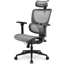 Office chair OfficePal - C40M - Office chair — Buy in Cyprus with Fast Delivery