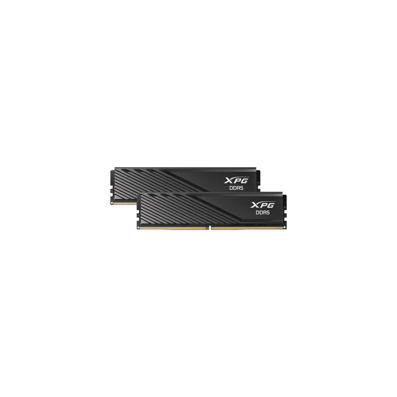 DIMM 32 GB DDR5-6000 (2x 16 GB) dual kit - RAM — Buy in Cyprus with Fast Delivery