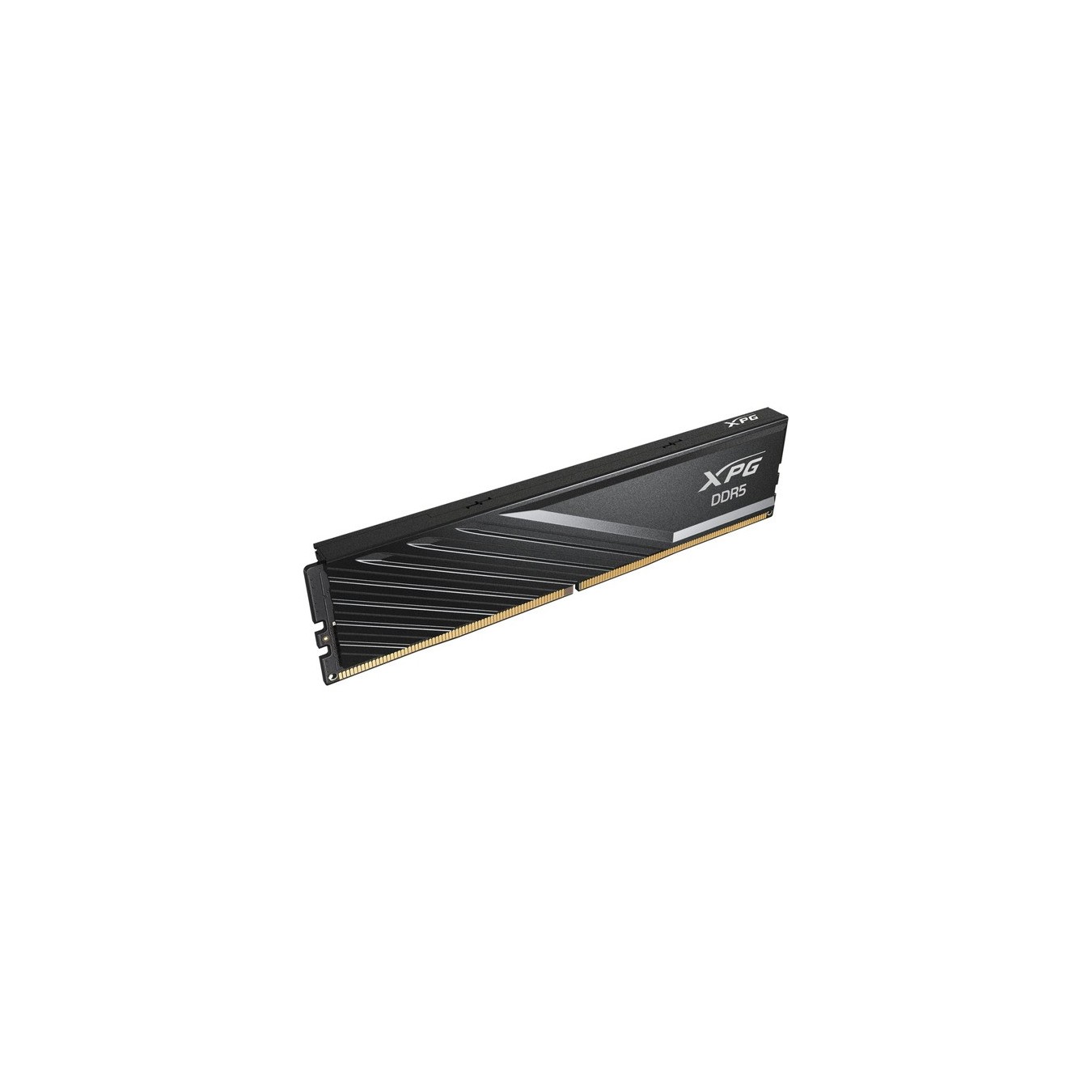 DIMM 32 GB DDR5-6000 (2x 16 GB) dual kit - RAM — Buy in Cyprus with Fast Delivery