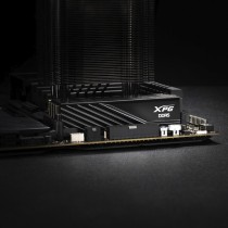 DIMM 32 GB DDR5-6000 (2x 16 GB) dual kit - RAM — Buy in Cyprus with Fast Delivery