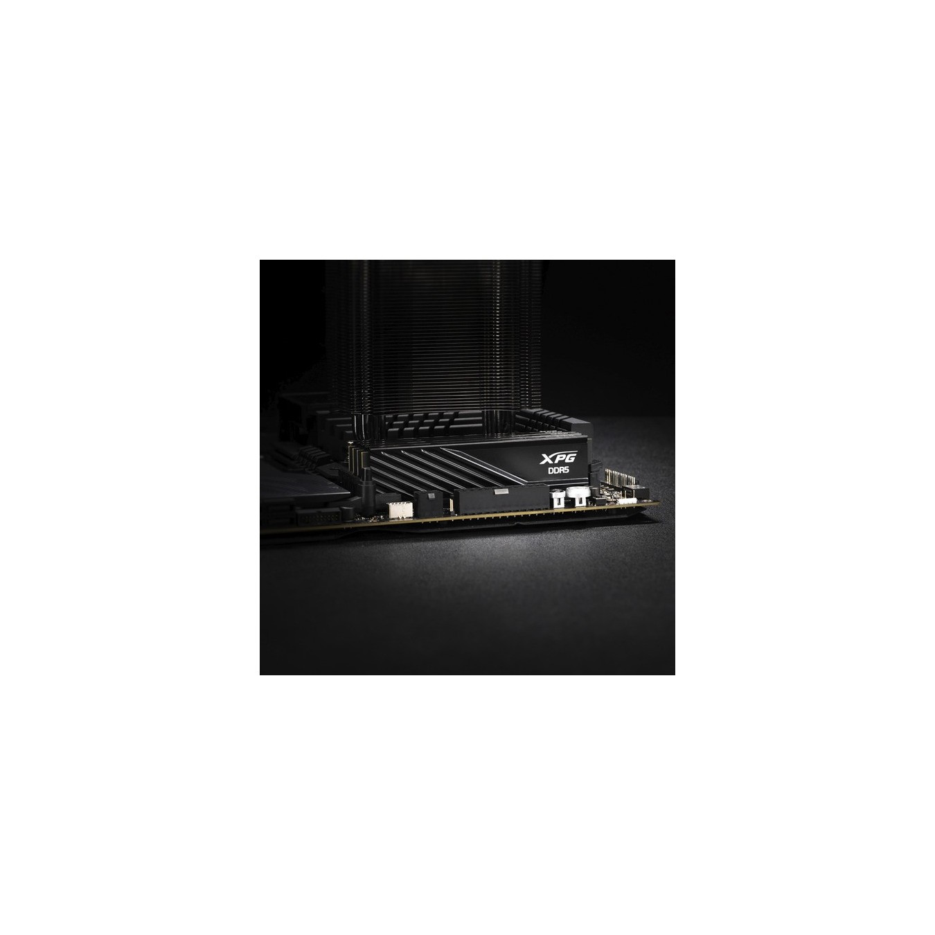 DIMM 32 GB DDR5-6000 (2x 16 GB) dual kit - RAM — Buy in Cyprus with Fast Delivery