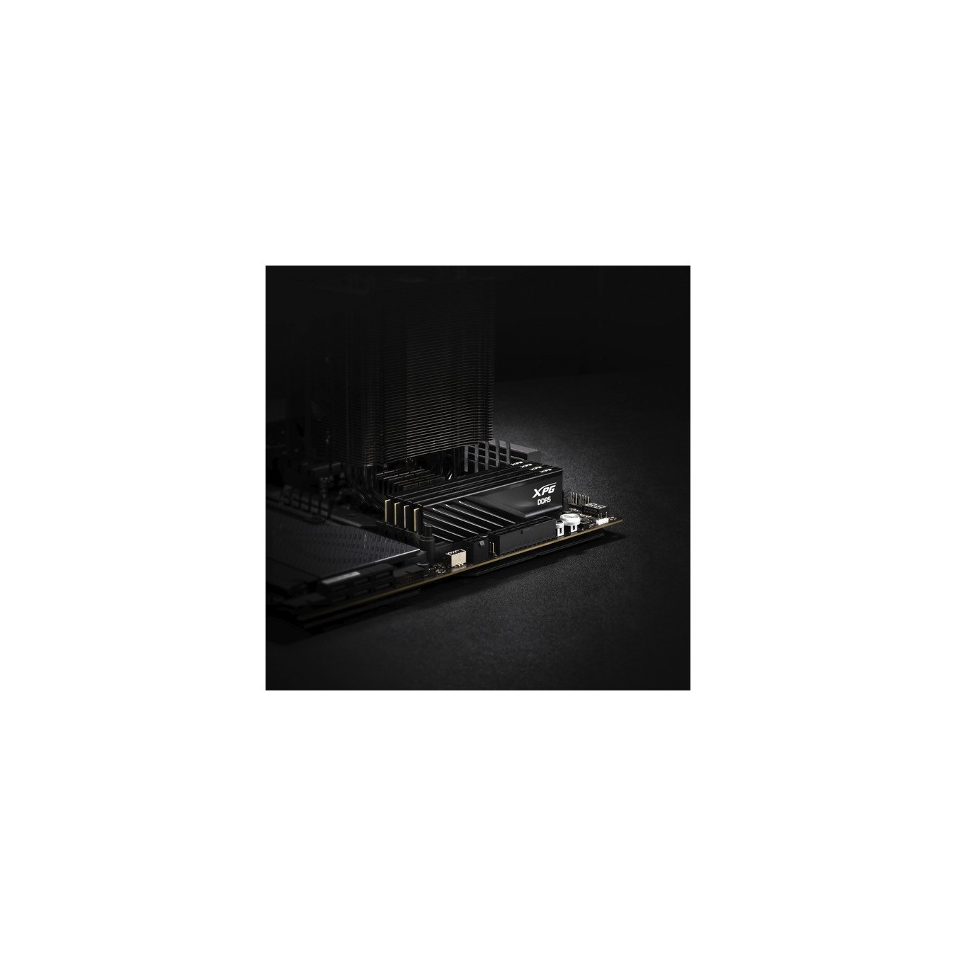 DIMM 32 GB DDR5-6000 (2x 16 GB) dual kit - RAM — Buy in Cyprus with Fast Delivery