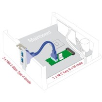 Converter M.2 Key B+M connector to 2 x USB 5 Gbps Type-A - interface extension — Buy in Cyprus with Fast Delivery