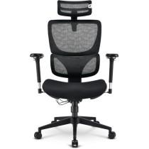 Office chair OfficePal - C40 -  — Buy in Cyprus with Fast Delivery