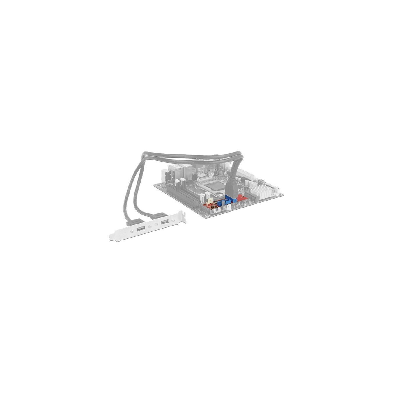 M.2 Key B+M connector to 2 x USB 3.0 header connector - Converter — Buy in Cyprus with Fast Delivery