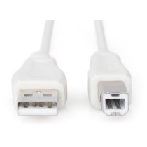 USB 2.0 connection cable USB-A (plug) to USB-B (plug) - USB-A (plug) to USB-B (plug) — Buy in Cyprus with Fast Delivery