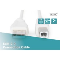USB 2.0 connection cable USB-A (plug) to USB-B (plug) - USB-A (plug) to USB-B (plug) — Buy in Cyprus with Fast Delivery