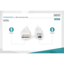 USB 2.0 connection cable USB-A (plug) to USB-B (plug) - USB-A (plug) to USB-B (plug) — Buy in Cyprus with Fast Delivery