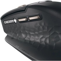 Stream Desktop ULTIMATE - Desktop-Set — Buy in Cyprus with Fast Delivery