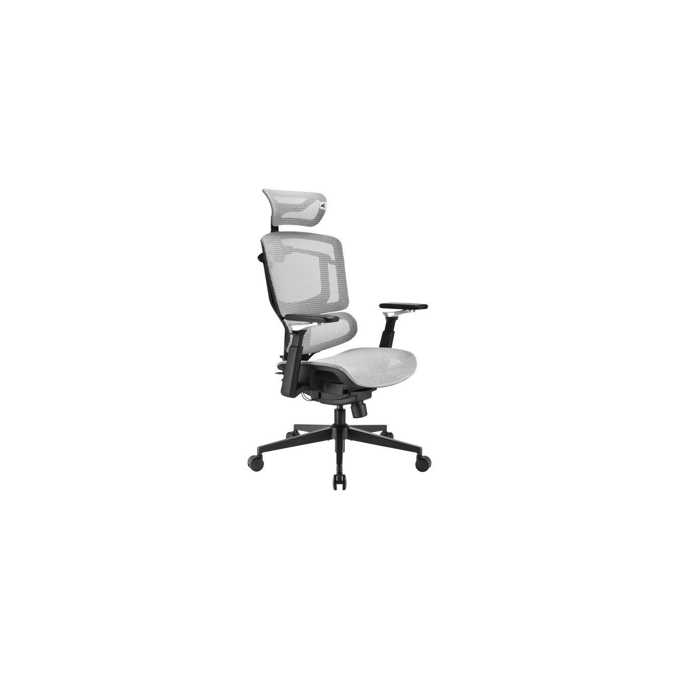Office chair OfficePal - C50M — Buy in Cyprus with Fast Delivery