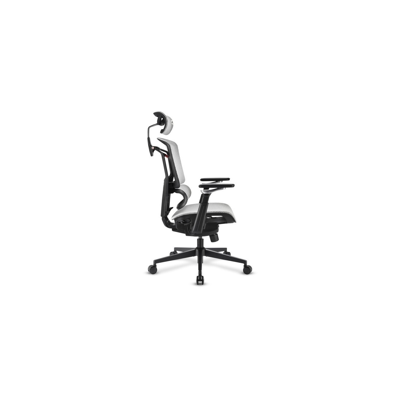 Office chair OfficePal - C50M — Buy in Cyprus with Fast Delivery