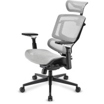 Office chair OfficePal - C50M — Buy in Cyprus with Fast Delivery