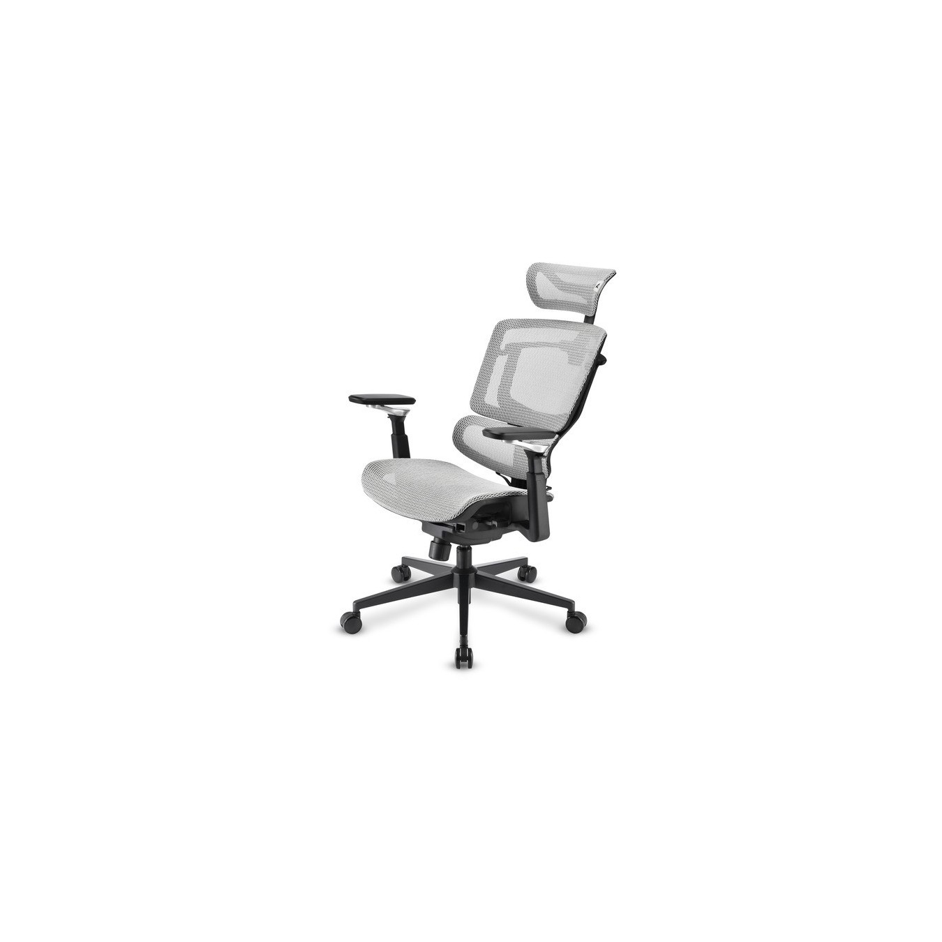 Office chair OfficePal - C50M — Buy in Cyprus with Fast Delivery