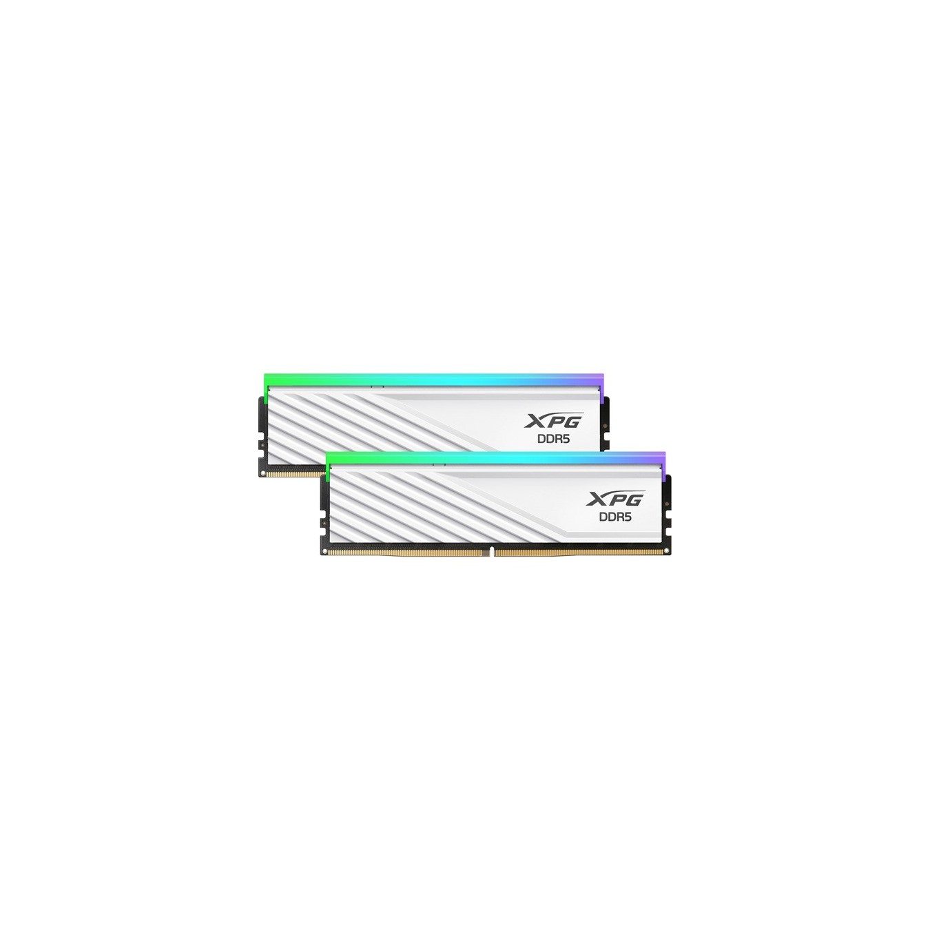 DIMM 32 GB DDR5-6000 (2x 16 GB) dual kit - RAM — Buy in Cyprus with Fast Delivery