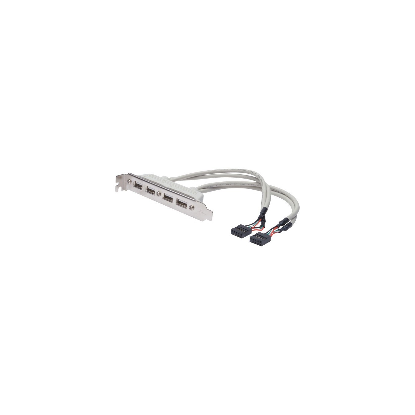 Digitus AK-300304-002-E USB Slot Bracket Cable – USB 2.0 480 Mbps | Armenius Store