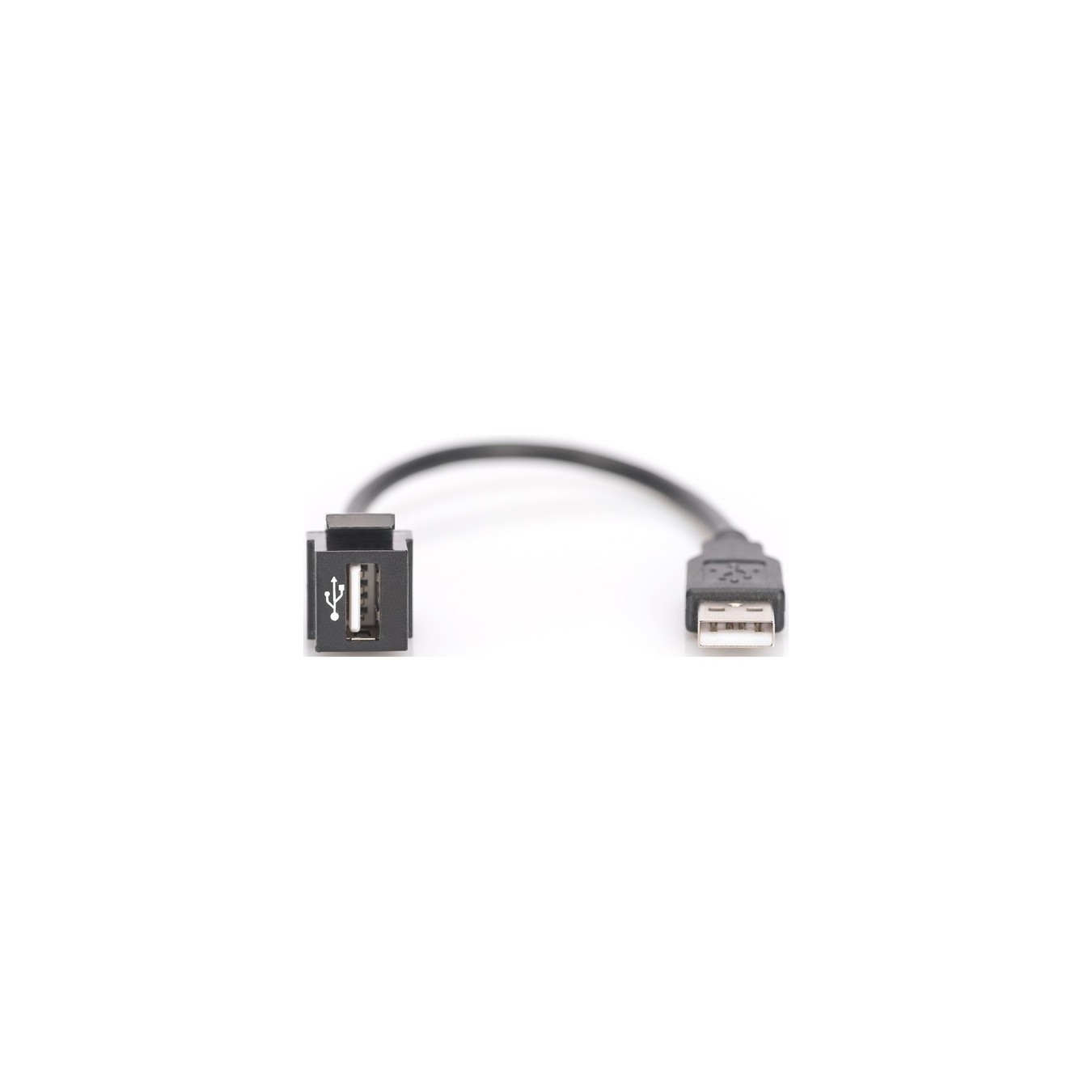 USB 2.0 Keystone module USB-A male to USB-A female - USB 2.0 Keystone module USB-A male to USB-A female