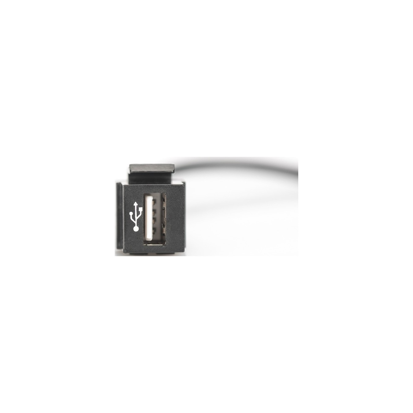 USB 2.0 Keystone module USB-A male to USB-A female - USB 2.0 Keystone module USB-A male to USB-A female