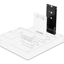SATA 22-Pin Connector - to M.2 Key B, Adapter — Buy in Cyprus with Fast Delivery