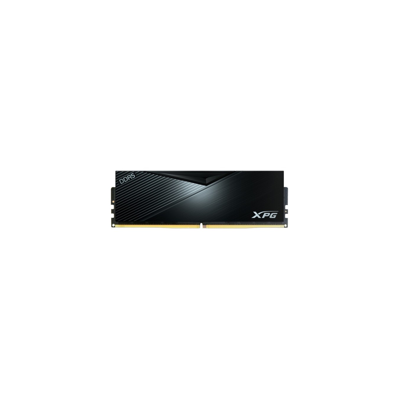 DIMM 32 GB DDR5-5600 (1x 32 GB), RAM - DDR5-5600 — Buy in Cyprus with Fast Delivery