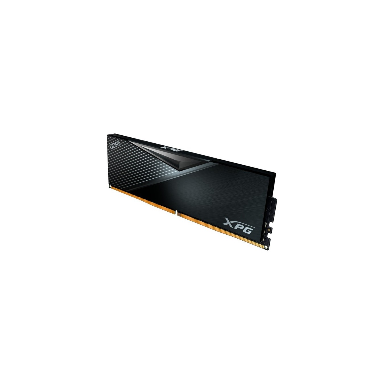 DIMM 32 GB DDR5-5600 (1x 32 GB), RAM - DDR5-5600 — Buy in Cyprus with Fast Delivery