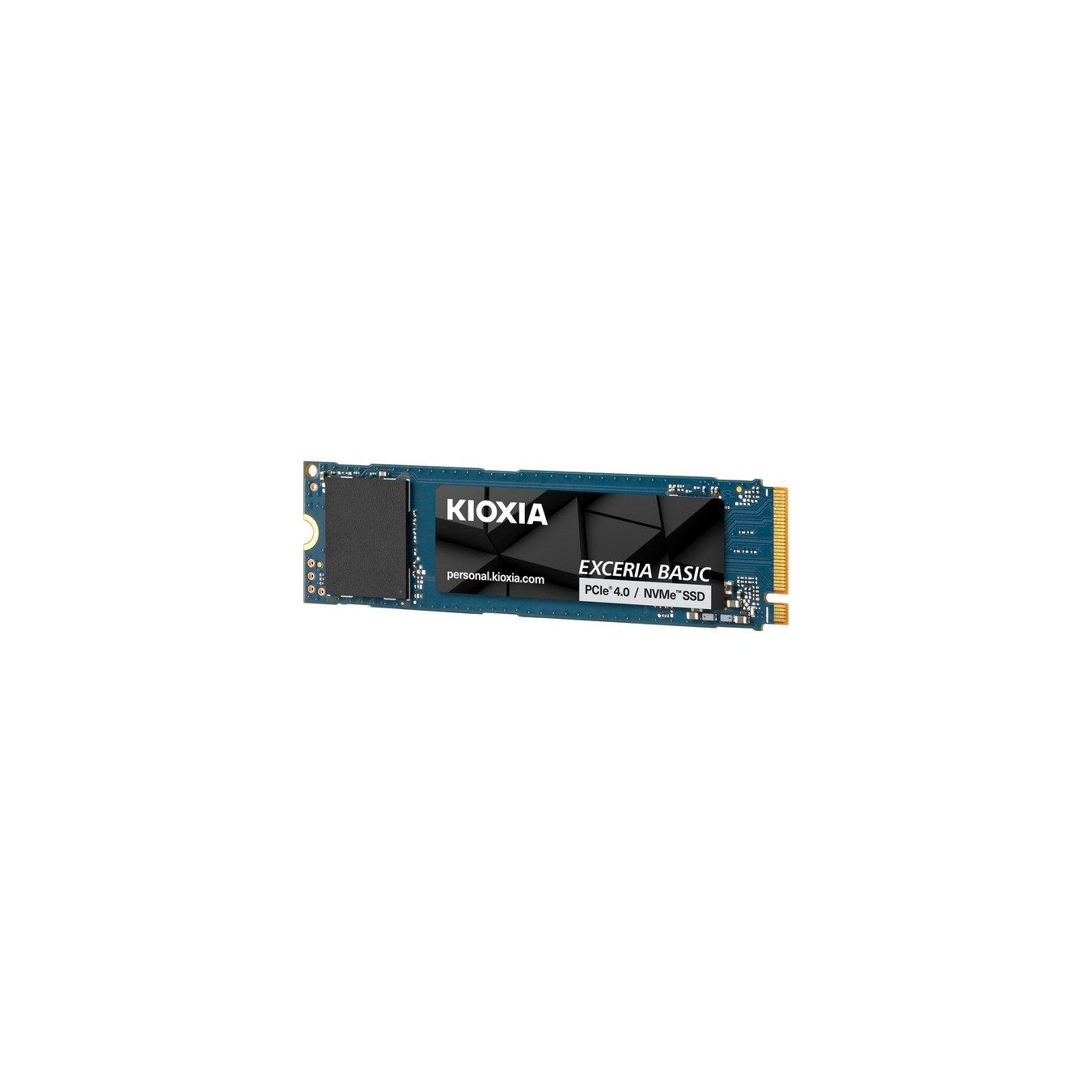 Exceria Basic - 2 TB, SSD — Buy in Cyprus with Fast Delivery
