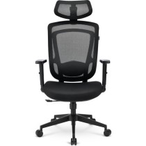Office chair - C10 — Buy in Cyprus with Fast Delivery