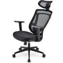 Office chair - C10 — Buy in Cyprus with Fast Delivery