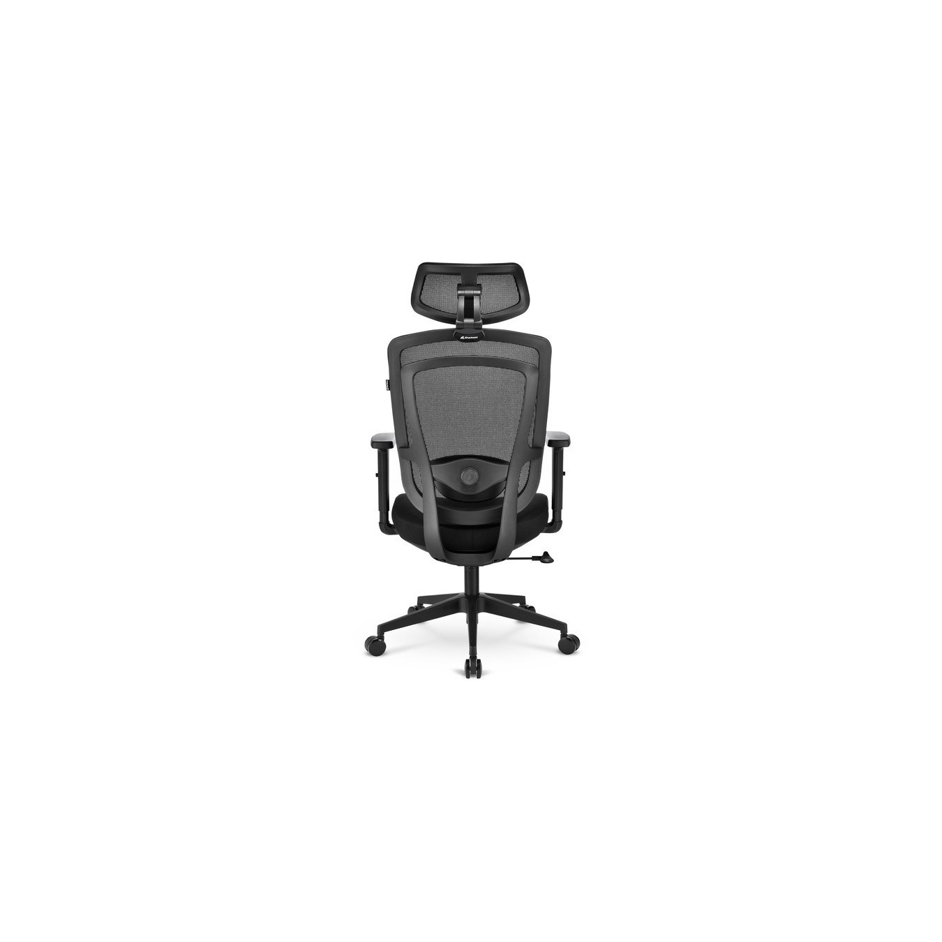 Office chair - C10 — Buy in Cyprus with Fast Delivery