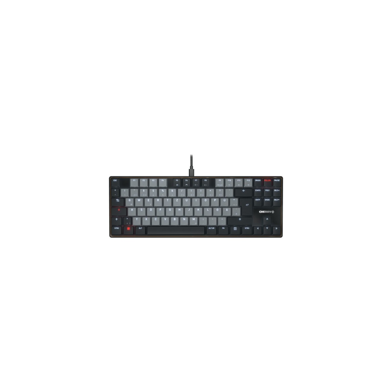 LP TKL Keyboard - KC 500 MX - Keyboard — Buy in Cyprus with Fast Delivery