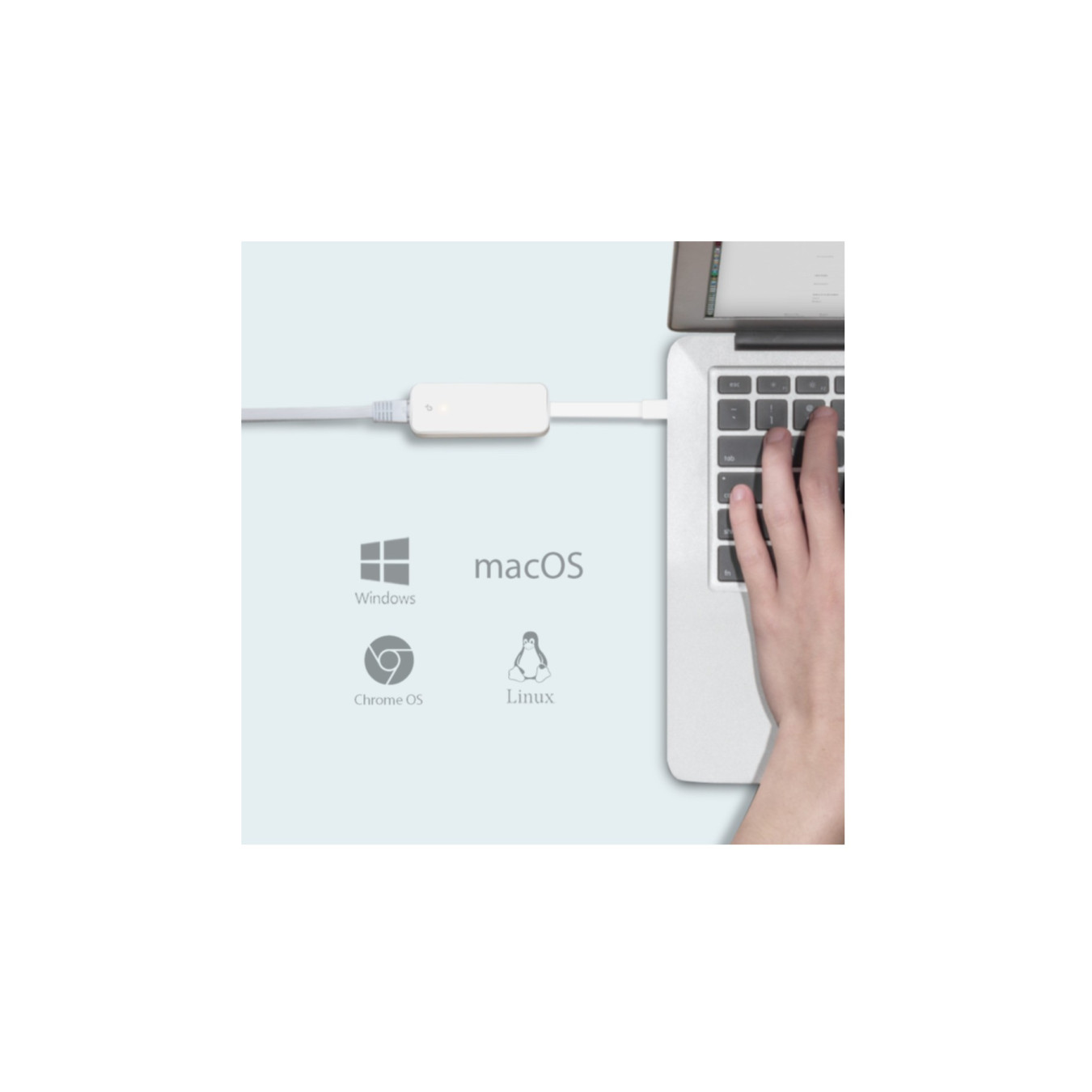 TP-Link UE300C USB-C Gigabit Ethernet Adapter - White, USB 3.2 Gen1 (1000 Mbps) — Buy in Cyprus with Fast Delivery