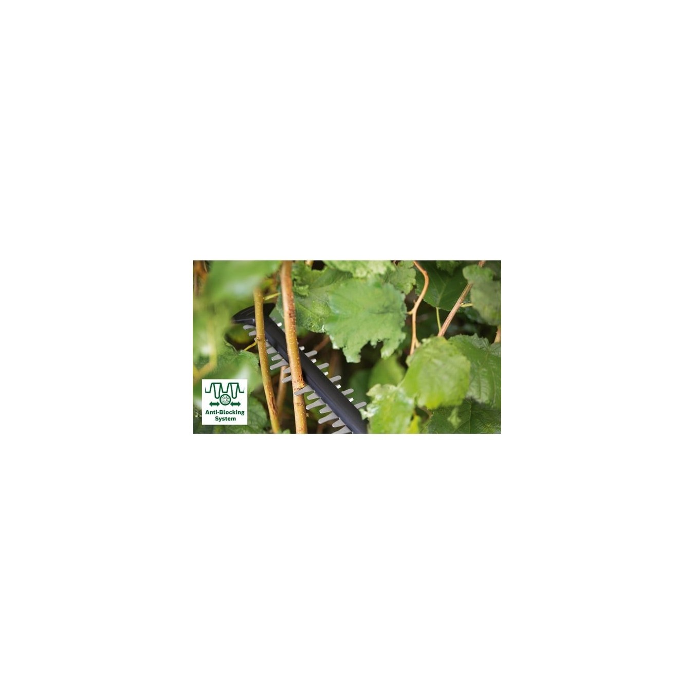 Cordless hedge trimmer Advanced HedgeCut - 36V-65-28 - Solo, 36Volt — Buy in Cyprus with Fast Delivery