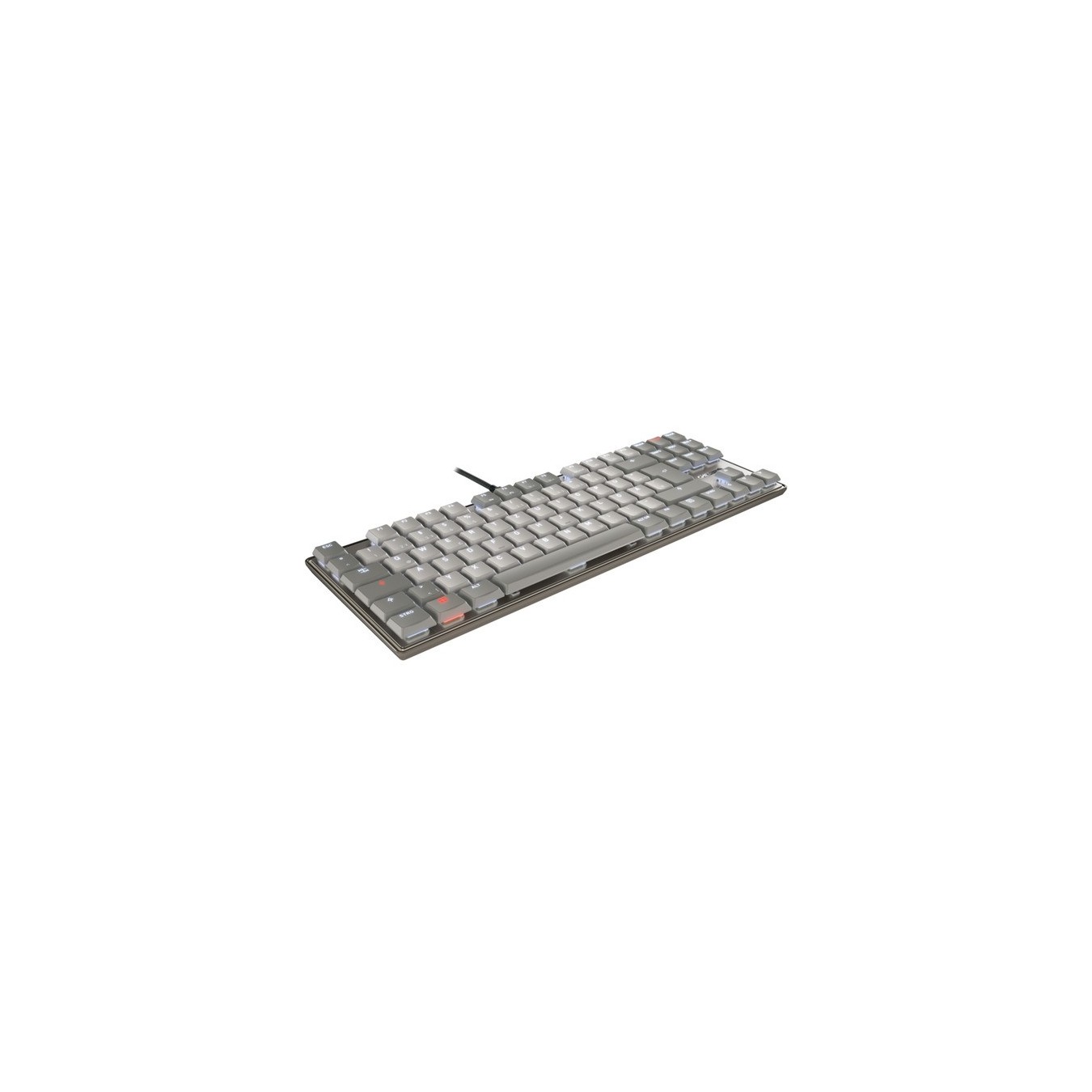 KC Keyboard - KC 500 MX LP TKL - Keyboard — Buy in Cyprus with Fast Delivery
