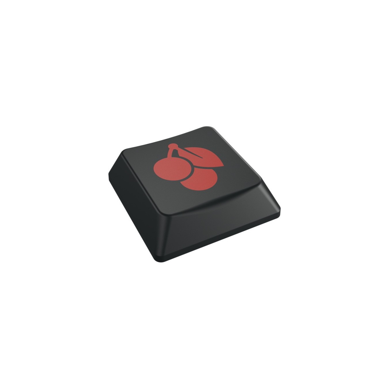 KC Keyboard - KC 500 MX LP TKL - Keyboard — Buy in Cyprus with Fast Delivery