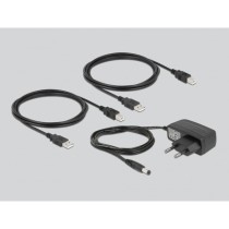 Delock USB 2.0 Switch for 2 PCs to 2 Devices - USB Switch — Buy in Cyprus with Fast Delivery
