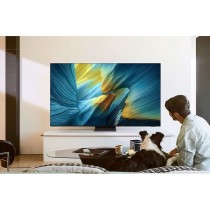 OLED TV - GQ55S95FATXZG -  — Buy in Cyprus with Fast Delivery