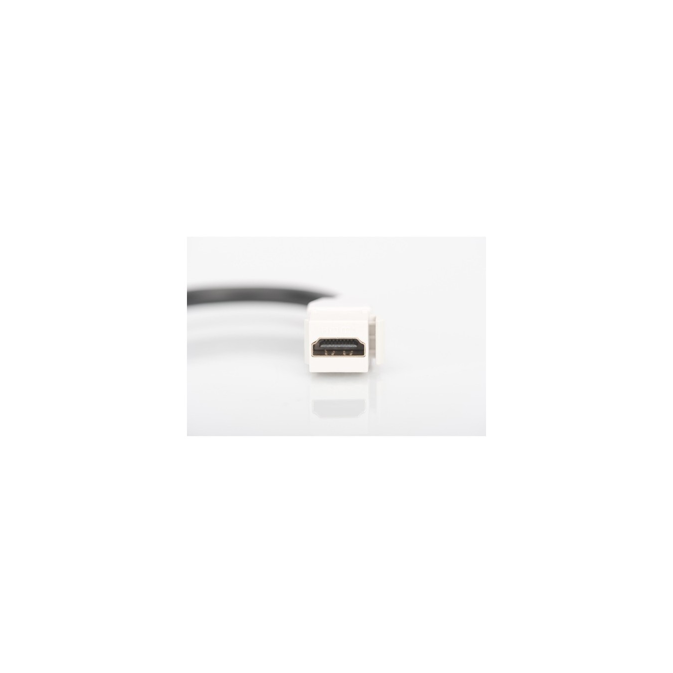 HDMI 2.0 Keystone module - 12 cm cable — Buy in Cyprus with Fast Delivery