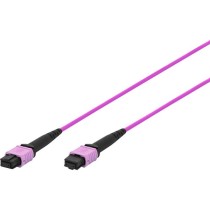 Fiber optic patch cable - MPO socket, OM4, method A — Buy in Cyprus with Fast Delivery